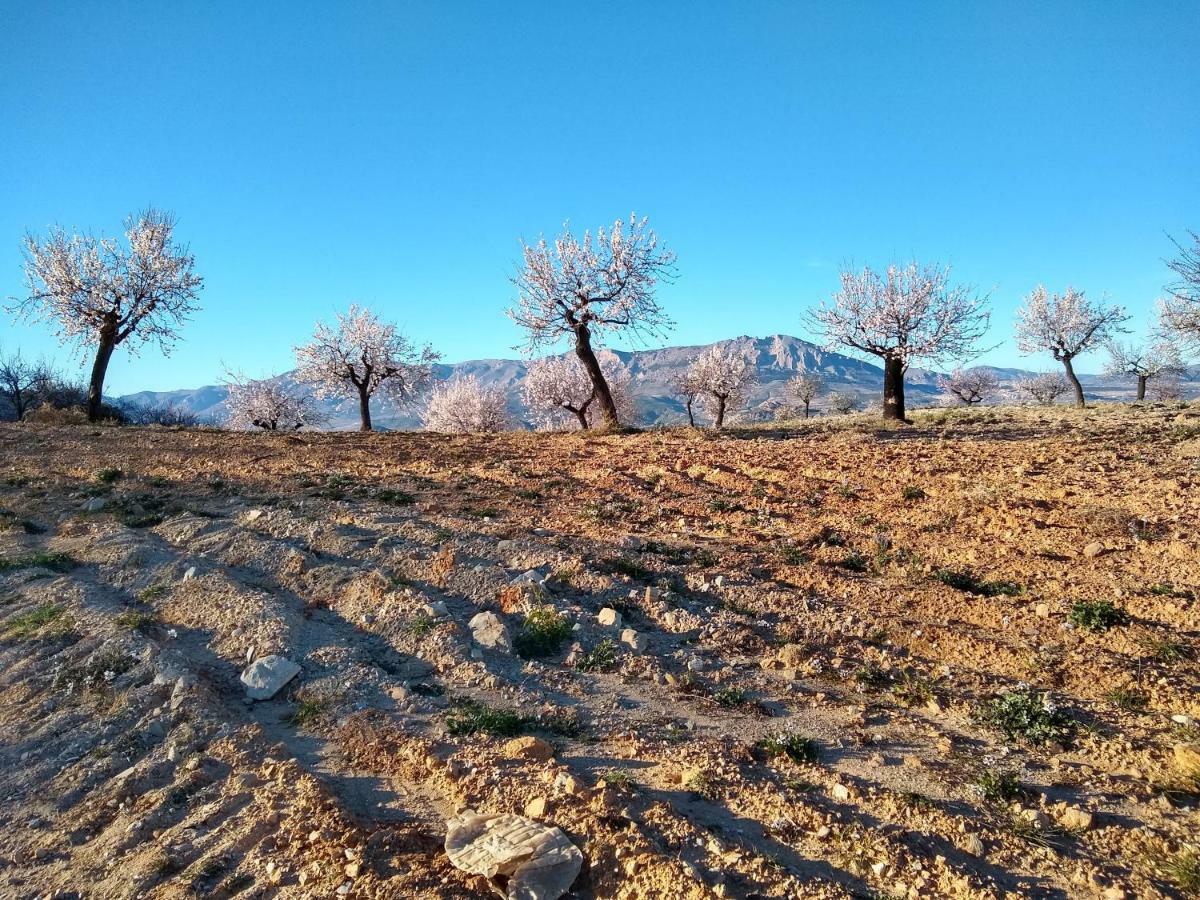 شقة Cortijo La Estrella Vélez Rubio المظهر الخارجي الصورة